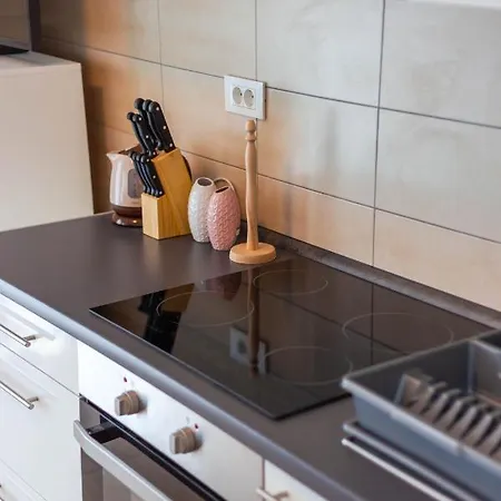 Raspolic Apartmán Kastav